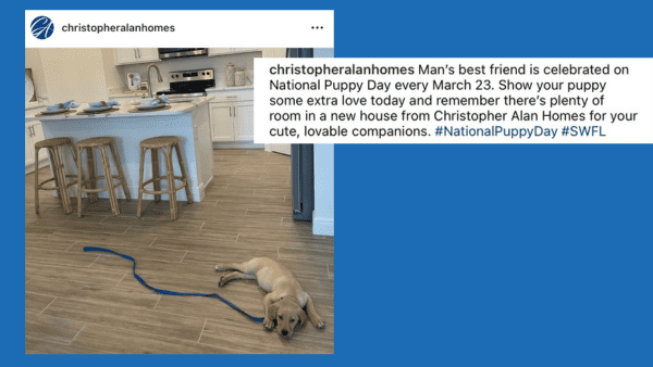 social-media-trends a puppy laying on the kitchen floor in a Christopher Alan home